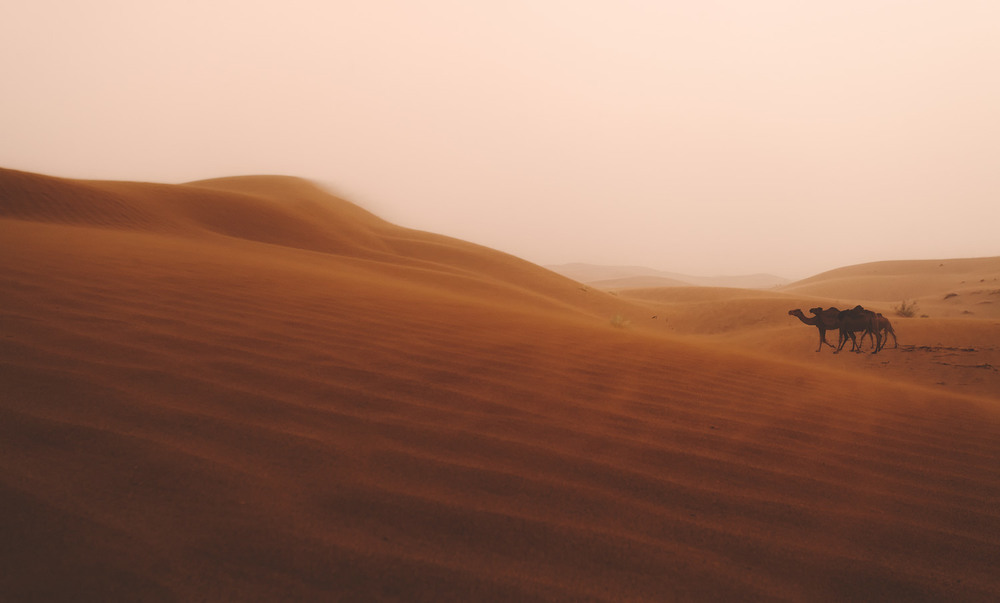 Фотографія Пыльная (песчаная) буря... пустыня Деште-Лут.Иран! / Александр Вивчарик / photographers.ua
