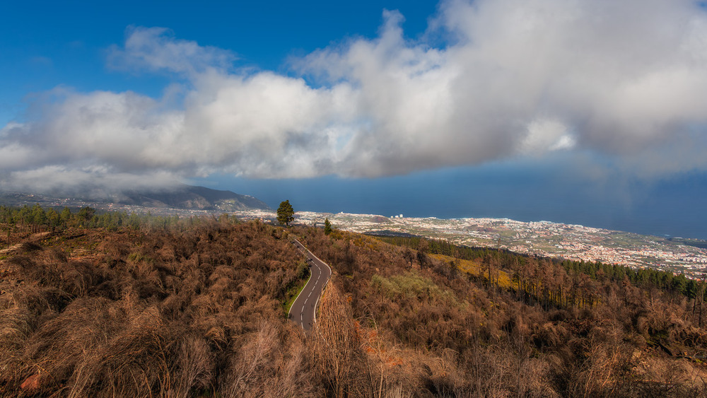 Фотографія Десь на Тенеріфе... Канарські острови. Іспанія. / Олександр Вівчарик / photographers.ua