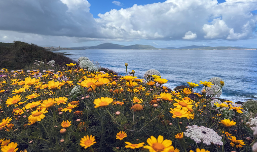 Фотографія Спогади про Сардинію (Італія)... / Олександр Вівчарик / photographers.ua