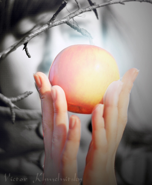 Фотографія История одного яблочка / Виктор Хмельницкий / photographers.ua