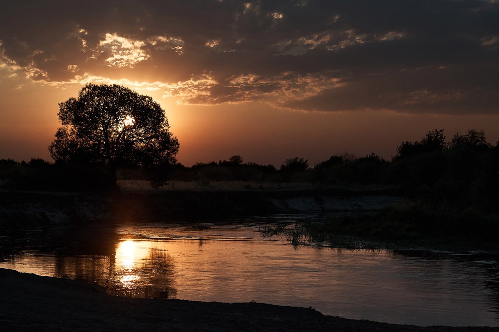 Фотографія Пейзаж / Роман Цяпа / photographers.ua