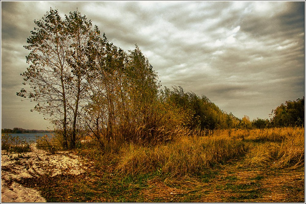 Фотографія У ВОДЫ . . . / Дмитрий Вишневский / photographers.ua