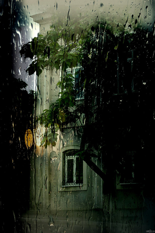 Фотографія ПЕЙЗАЖ С ДЕРЕВОМ . . . / Дмитрий Вишневский / photographers.ua