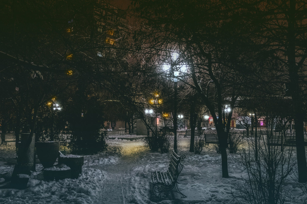 Фотографія Ночной парк / Антонов Денис / photographers.ua