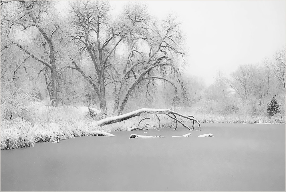 Фотографія В объятиях зимы.... / Alla Gill / photographers.ua