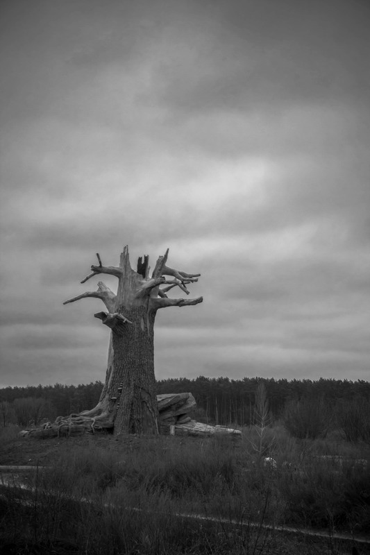 Фотографія Город, архитектура / Александр Радчук / photographers.ua