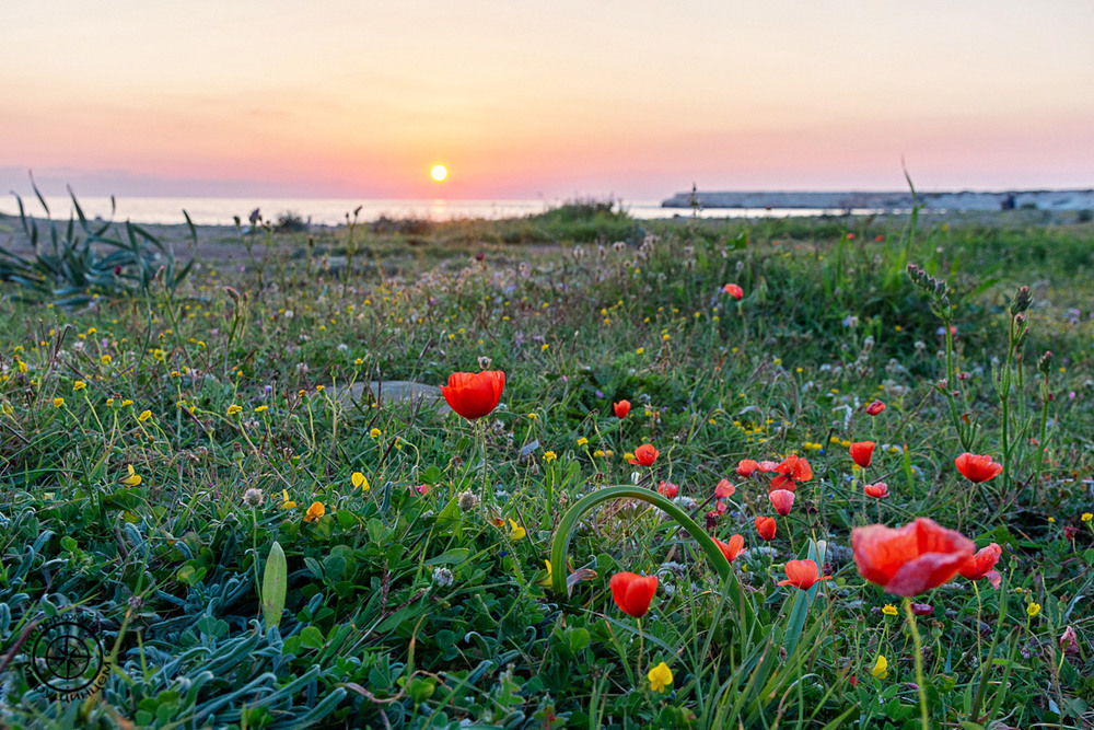 Фотографія Захід сонця на пляжі Лара / Андрей Марущинец / photographers.ua