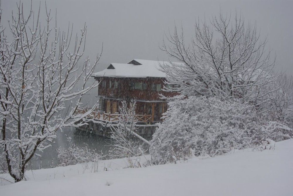 Фотографія снегопад... / Алла Счастливая / photographers.ua