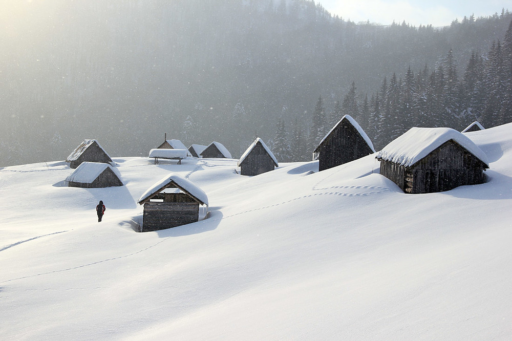 Фотографія Зима на полонині / Sergej Palko / photographers.ua