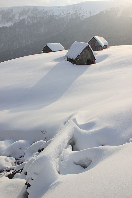 Фотографія Після снігопаду / Sergej Palko / photographers.ua