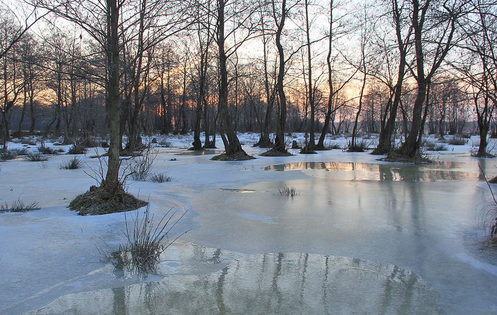 Фотографія Зимові розливи Стоходу / Sergej Palko / photographers.ua