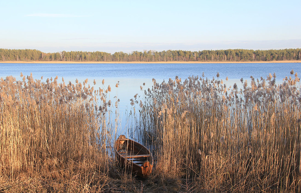 Фотографія Озеро на Поліссі / Sergej Palko / photographers.ua