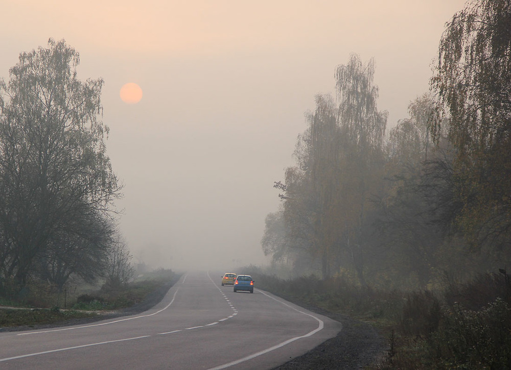 Фотографія Осінні тумани / Sergej Palko / photographers.ua