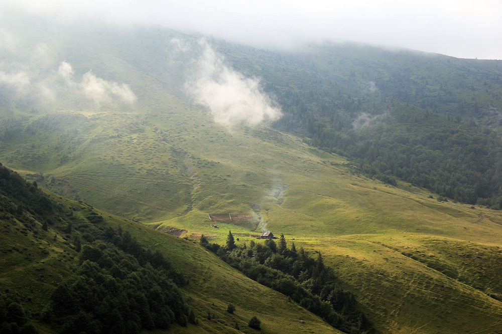 Фотографія Колиба на полонині Ярошеска / Sergej Palko / photographers.ua