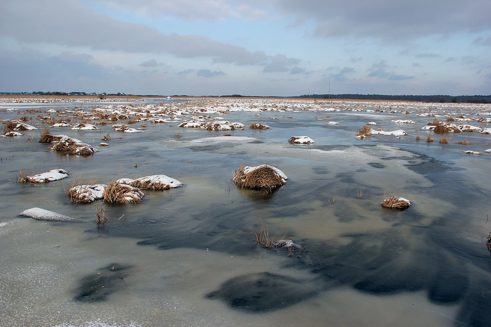 Фотографія Зимова заплава Стохода / Sergej Palko / photographers.ua