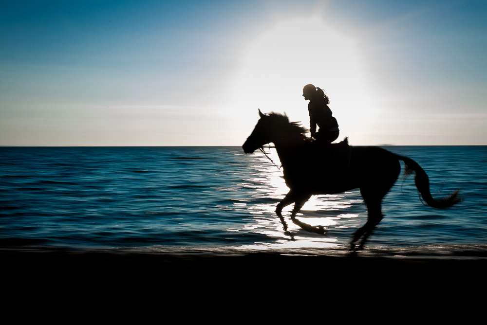 Фотографія Horse rider / Сергей Жабский / photographers.ua