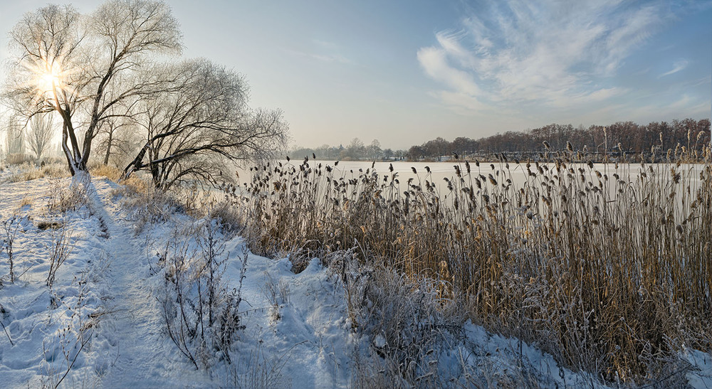 Фотографія Пришла и к нам красавица зима / Лидия Цапко / photographers.ua