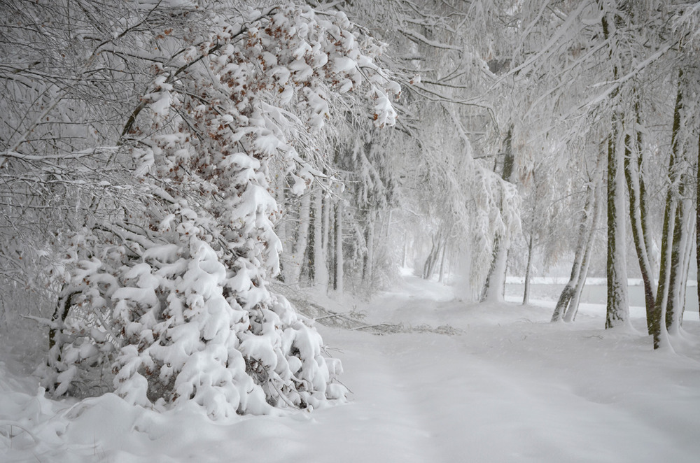 Фотографія Дивовижна зима / Лидия Цапко / photographers.ua