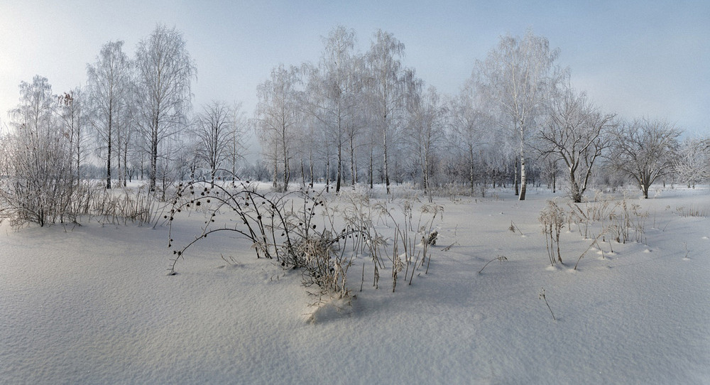 Фотографія Морозный денек / Лидия Цапко / photographers.ua