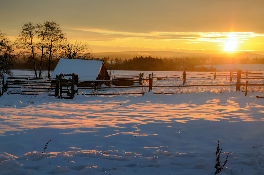 Фотографія Яскравий, погожий, зимовий ранок / Лидия Цапко / photographers.ua