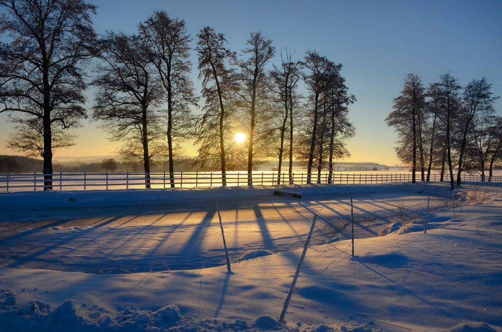 Фотографія Барви зимового ранку / Лидия Цапко / photographers.ua