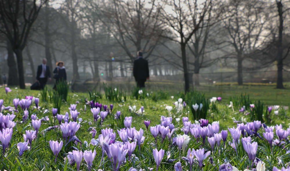 Фотографія весна в парке / Стюардесса / photographers.ua