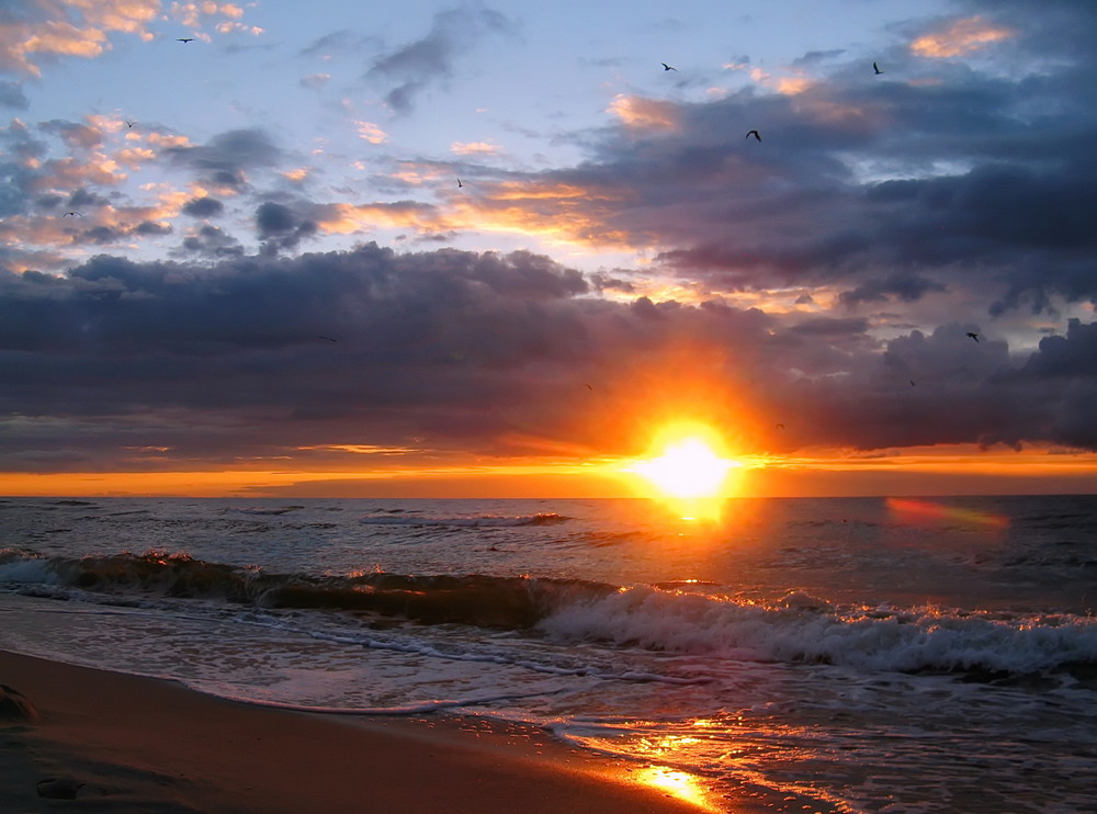 Фотографія Солнце садится море искрится / Александра Кривко / photographers.ua