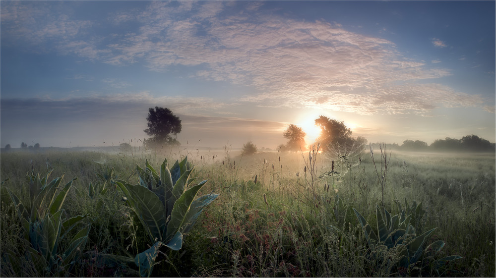 Фотографія Утро купалось в рассветном тумане-5 / Сергей Воробьёв / photographers.ua