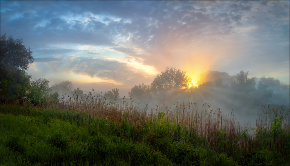 Фотографія Солнце купалось в рассветном тумане-3 / Сергей Воробьёв / photographers.ua
