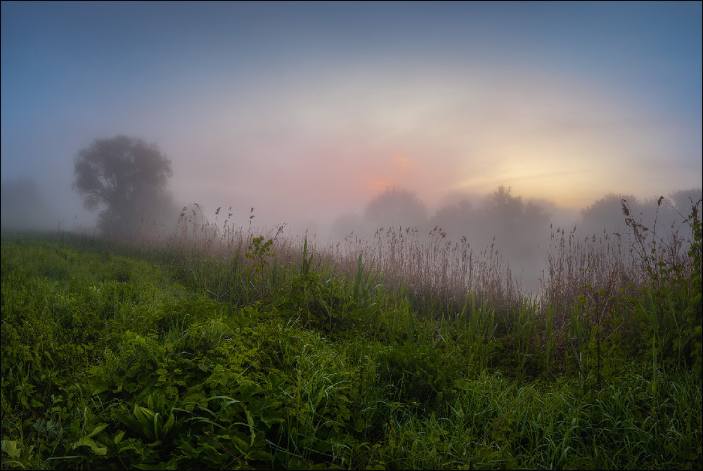 Фотографія Солнце купалось в рассветном тумане / Сергей Воробьёв / photographers.ua