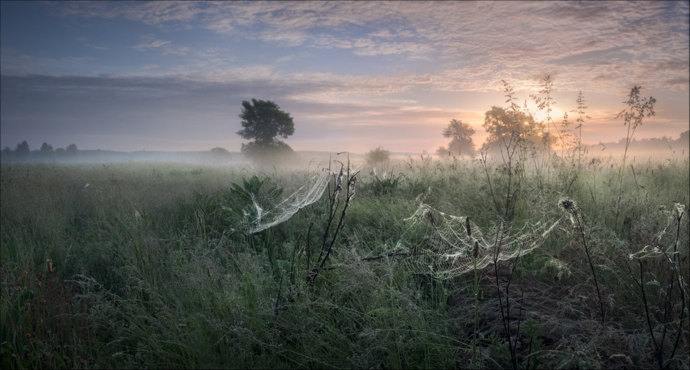 Фотографія Утро купалось в рассветном  тумане / Сергей Воробьёв / photographers.ua