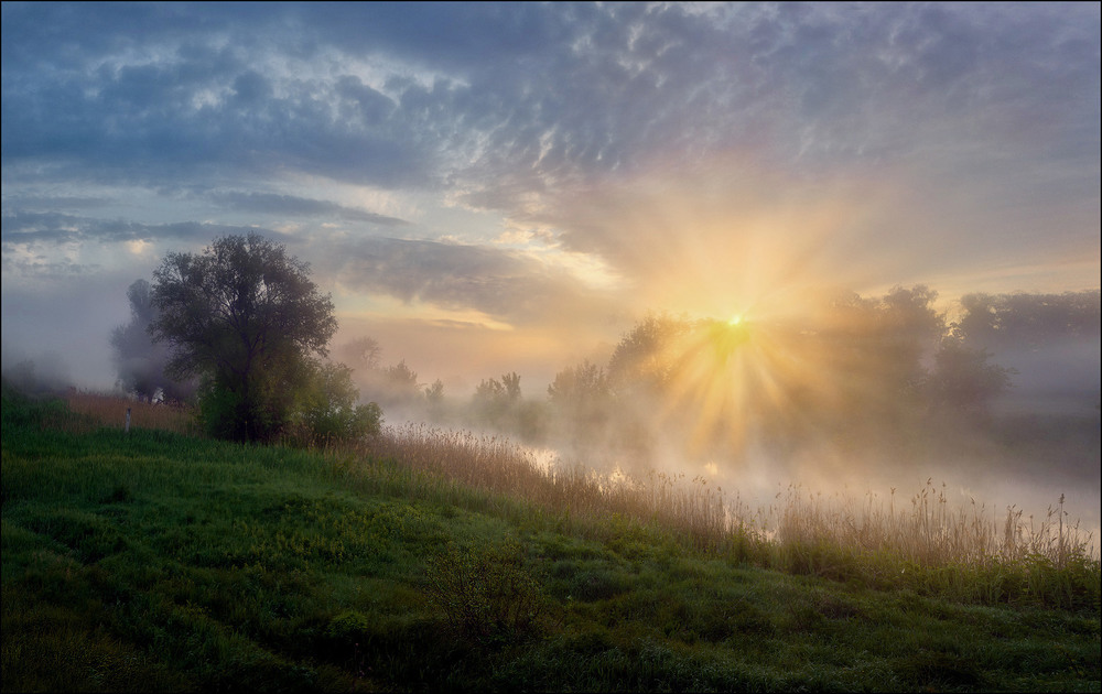 Фотографія Солнце купалось в рассветном тумане-2 / Сергей Воробьёв / photographers.ua