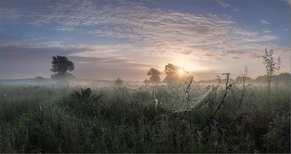 Фотографія Утро купалось в рассветном тумане-6 / Сергей Воробьёв / photographers.ua