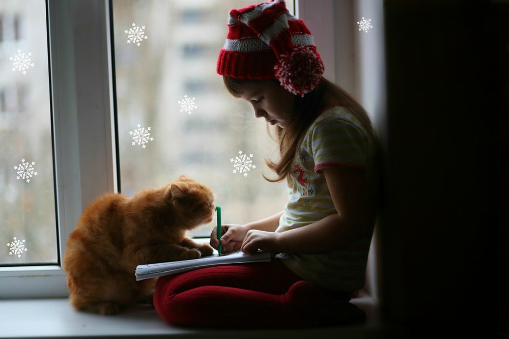 Фотографія девочка с котом пишут письмо деду морозу / Гончарук Юлия / photographers.ua