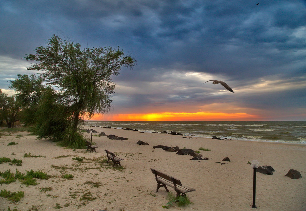 Фотографія Утро. / Александр Маренков / photographers.ua