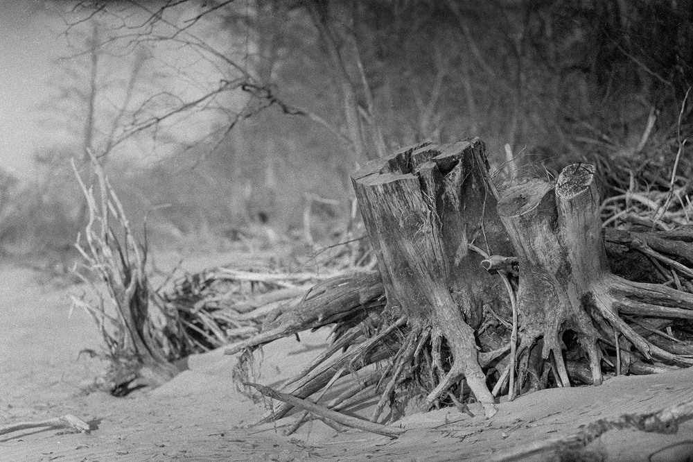 Фотографія *** / alexrm / photographers.ua