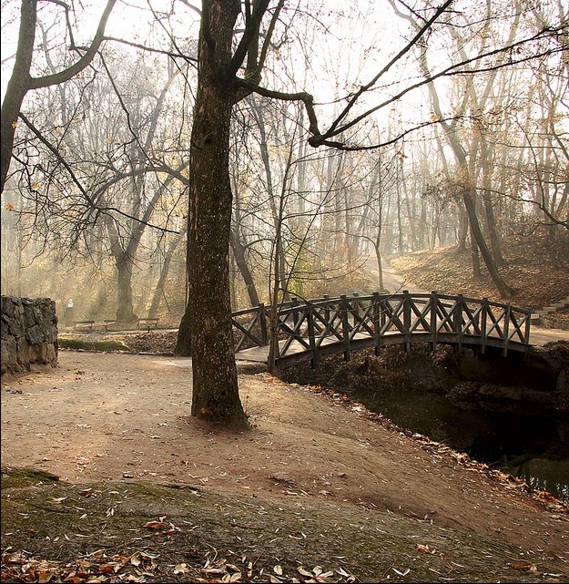 Фотографія *** / Вадим Шумко / photographers.ua