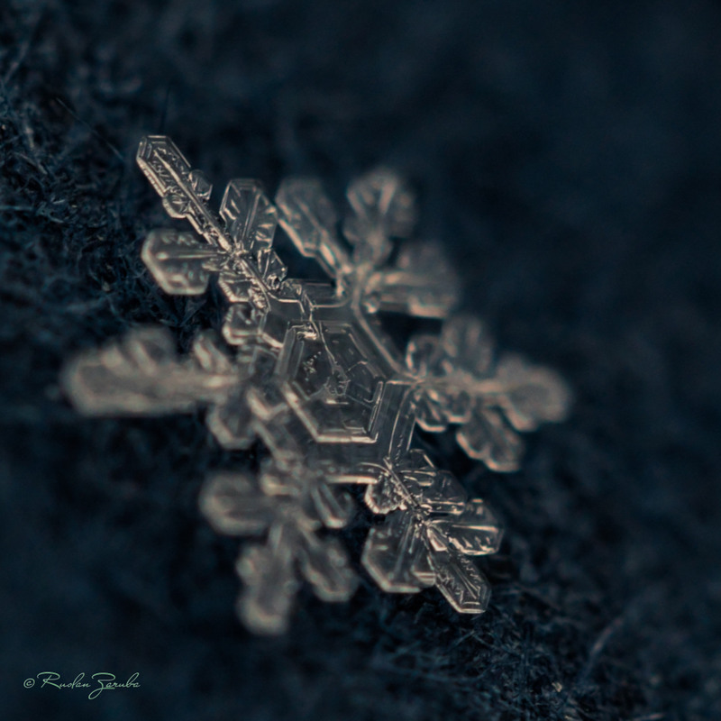 Фотографія зимові історії. сніжинка / RZ Ruslan / photographers.ua