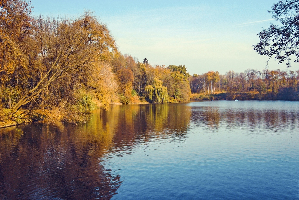 Фотографія Осенняя Софиевка / Alina Boltachova / photographers.ua