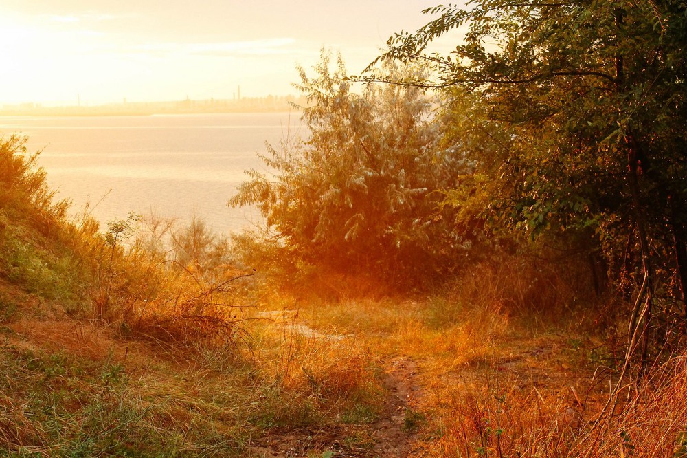 Фотографія Золотой час / Виктория Роменская / photographers.ua