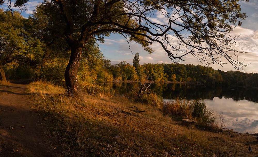 Фотографія Осень / Роман / photographers.ua