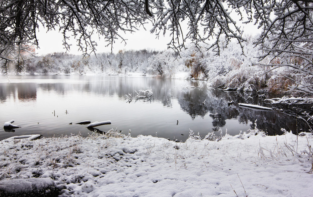 Фотографія Черно-белая зима / Роман / photographers.ua