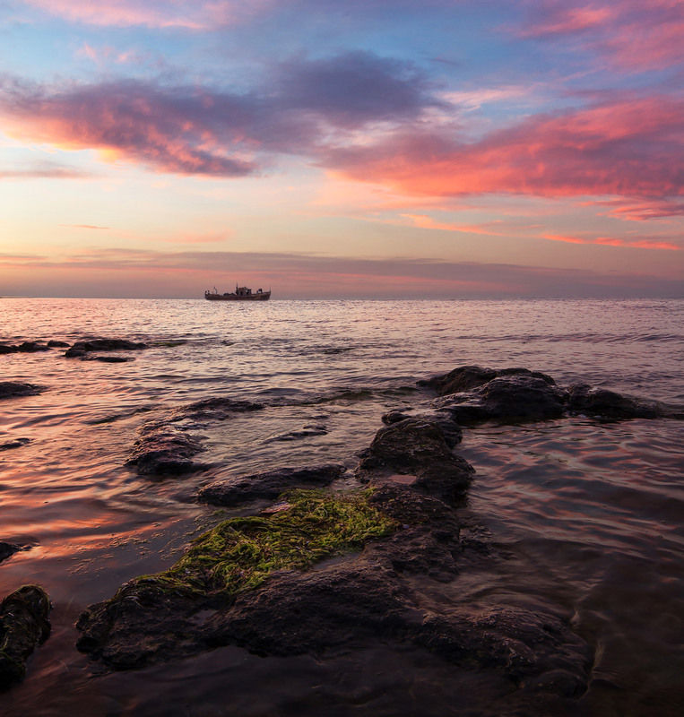 Фотографія Облачная птица / Роман / photographers.ua