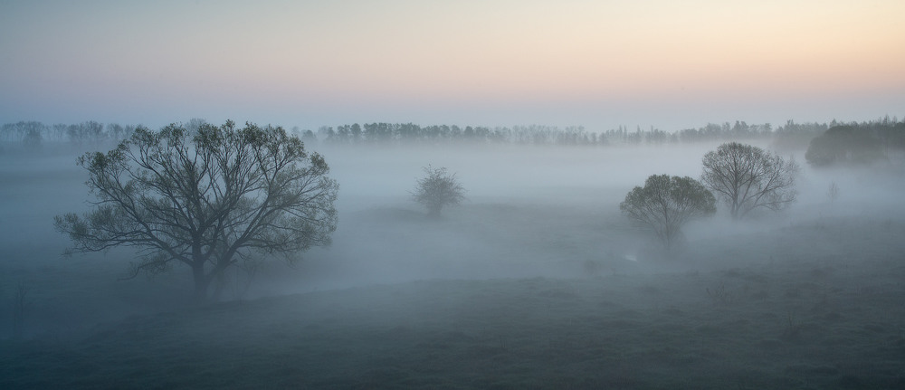 Фотографія Утопая в тумане... / Сергей Добровольский / photographers.ua