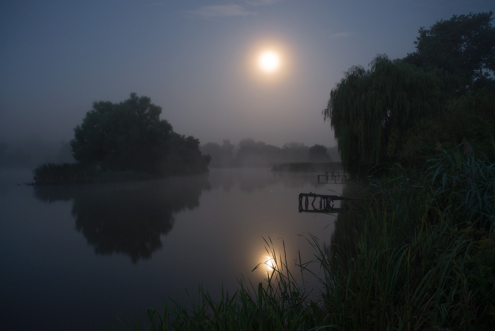 Фотографія Туманная лунная ночь... / Сергей Добровольский / photographers.ua