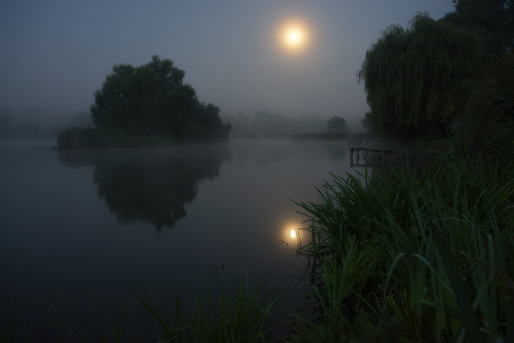 Фотографія Місячна ніч... / Сергей Добровольский / photographers.ua