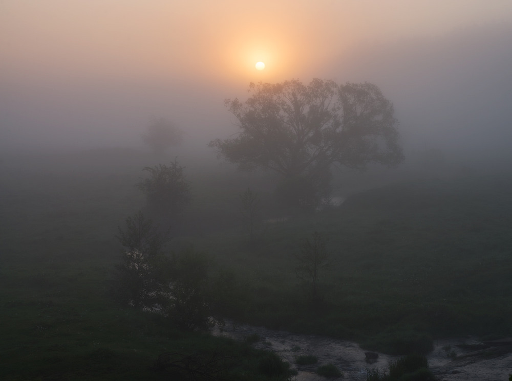Фотографія Туманное утро... / Сергей Добровольский / photographers.ua