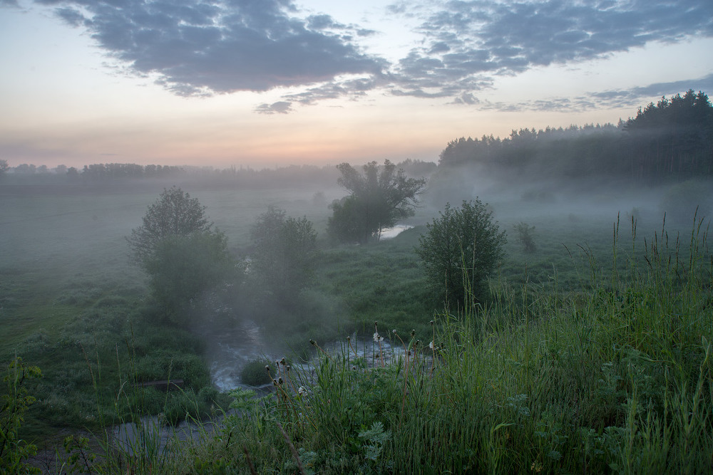 Фотографія Травневий ранок... / Сергей Добровольский / photographers.ua