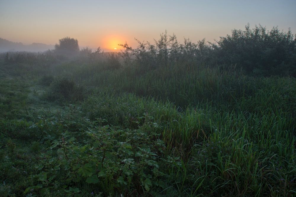 Фотографія Останній світанок літа ... / Сергей Добровольский / photographers.ua
