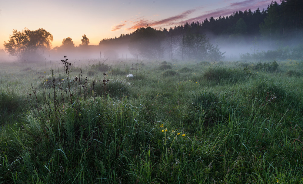Фотографія Травневий ранок.... / Сергей Добровольский / photographers.ua